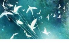 很多话，你真的懂吗？