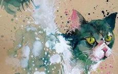 关于情侣的日志