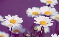 晚上厕所里晕倒了，因为以前发生过这事，我再不敢住宿舍了！