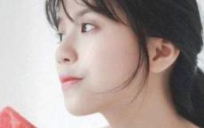 武烈皇帝李元昊是个什么样的人？如何评价他？李元昊有多少个老婆