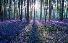 幸运的是，找到了你