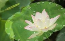 隋文帝杨坚的长相怎么样？世人如何评价他的？他是不是长得特别丑