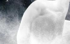 关于成长的诗歌