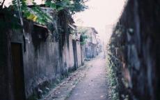 恨你，却离不开你