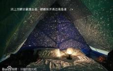 元顺帝是个怎样的皇帝？他是元朝最后一位皇帝吗？