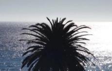 元顺帝是汉人吗？明大将徐达有没有放走元顺帝？为什么？