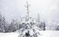 元文宗是一个什么样的人？元文宗为什么能当上两次皇帝？