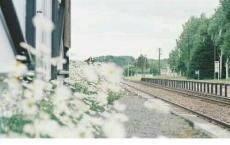 春日蒹葭，唯有你我