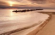 歌舞飞扬，多彩青春 ——文艺汇演圆满成功