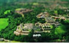 梅花香自苦寒来