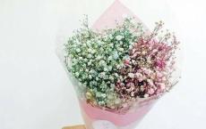 倾注大学梦，回望自身