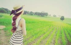 认识大学，追逐大学梦