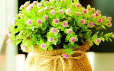 小品练习，敞开心扉