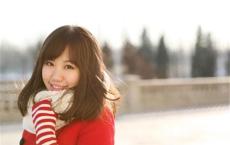 带一只鸟，陪狗过夏天