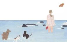 后来的你，过的好不好？