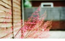 帅哥快到碗里来～我饿了