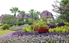 文艺汇演前夕的相处