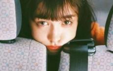 像猪一样懒得心安理得