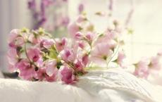 不要让生活被沙子填满