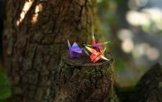 愿我们能永葆童心