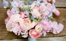 赢驷之子叫什么他妻子叫什么 赢驷到底是怎么死的