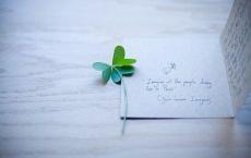 如果没有那场争吵 也许我们各自安好