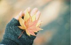 人人都有大学梦