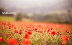 雍正为什么年号要叫“雍正”？雍正到底是一个什么样的人？