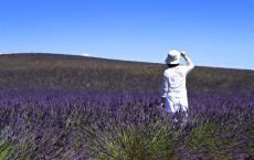 回来吧我准备好一切等你ru