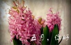 亲爱的，我们这是怎么了