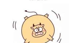 益生菌冲剂形象宣传专用语