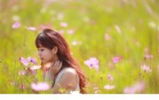 窗前的叶子落了