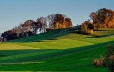 秦庄襄王是怎么死的 秦庄襄王真的是被赵姬毒死的吗