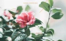 公子纠和公子小白什么关系 齐桓公和管仲有哪些故事