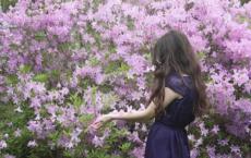 齐桓公简介 齐桓公为什么叫田午又叫公子小白