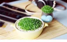 在这座城，等你