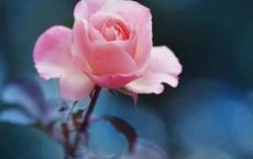 晋文公的生平简介 晋文公为何出逃他出逃了多少年