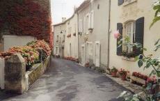 武出神采，术解距离