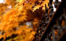 齐废帝萧宝卷有多昏庸荒淫 萧宝卷是怎么死的