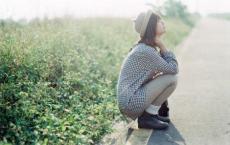 投你以李 报我以桃