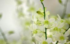 我是一个一个彻彻底底的疯子