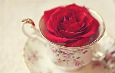 司马错是什么人 司马错的生平简介和事迹