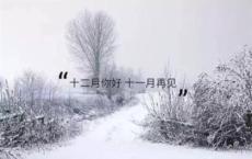 生活让我们迷失了方向