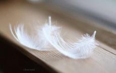 秦武王是谁 秦武王是谁的儿子是个怎样的人