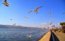 静听执意的思念