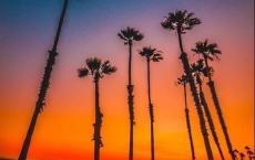 吕不韦是秦始皇的父亲吗 秦始皇的生母又是谁