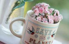 笑死不偿命的爆笑逗B