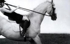 笑你岔气的搞笑段子