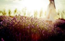 经典爆笑：龟丞相上qq