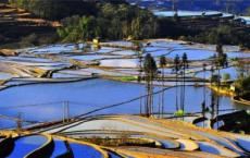 俄狄甫斯娶母为妻